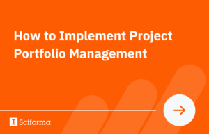 how to implement project portfolio management