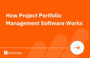 How Does Project Portfolio Management (PPM) Software Work?