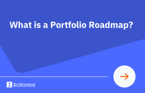 What is a Portfolio Roadmap?